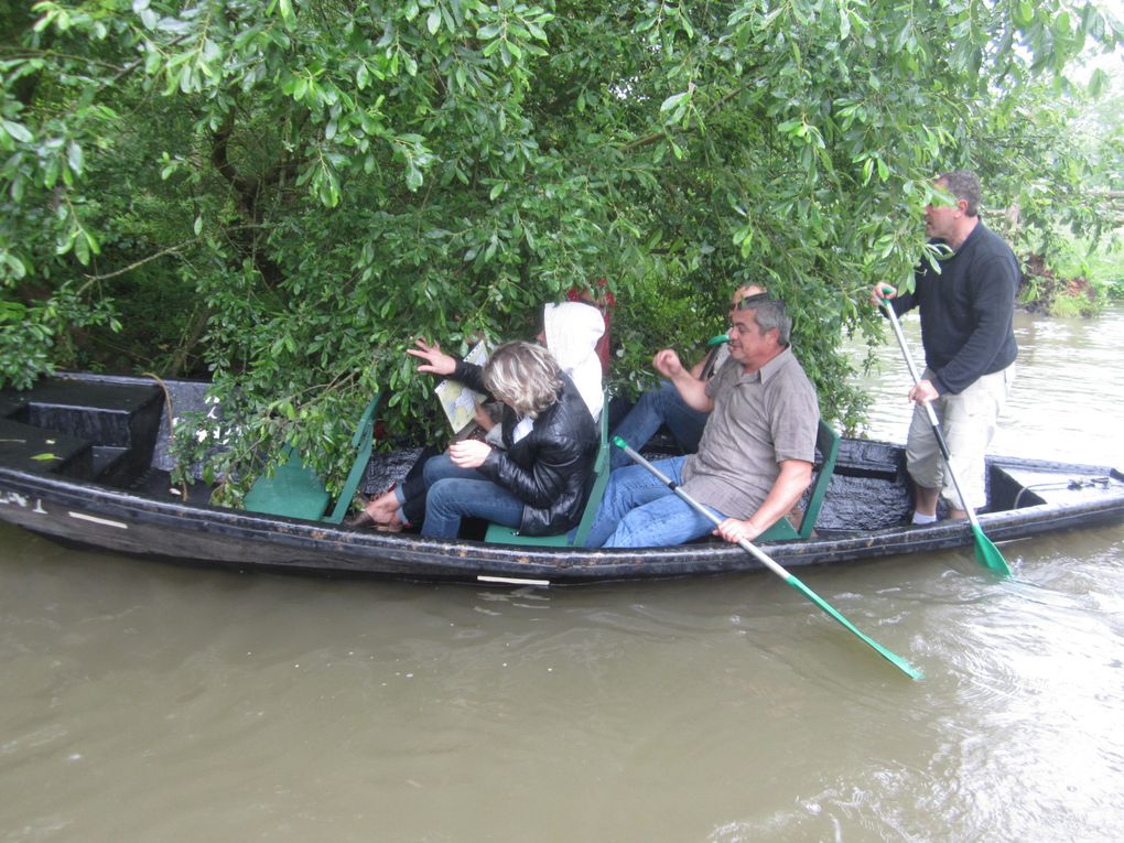 Album - venise-verte-25-mai-2014