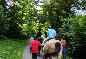 L'été au rythme des camps