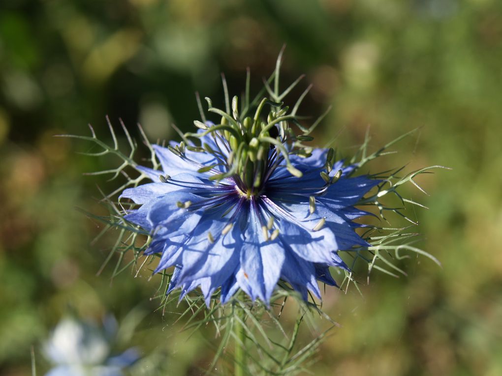 Album - Un ti' tour au jardin !