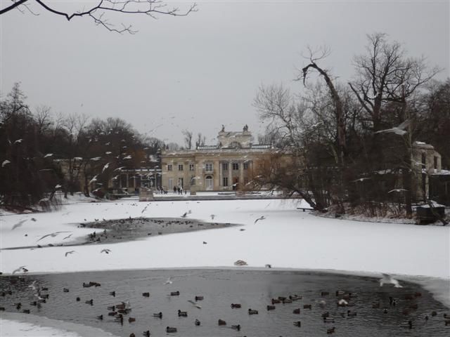 Neige, gel, froid mais soleil d'hiver en Pologne...