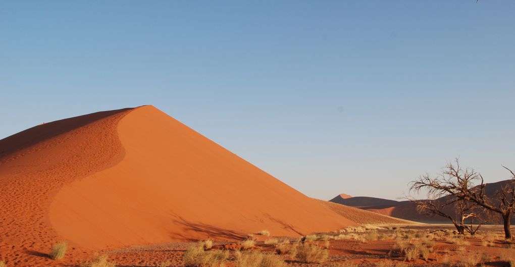 Album - Desert-du-Namib