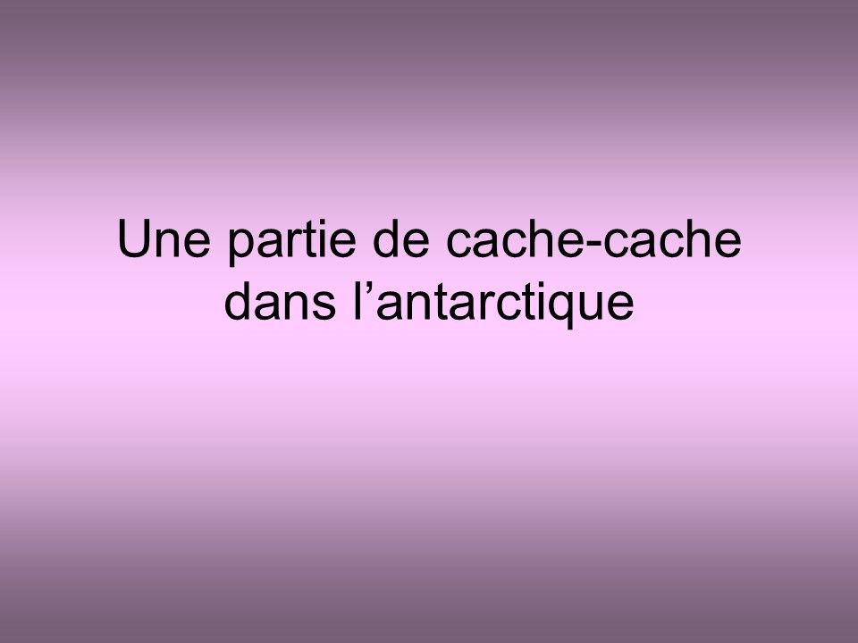 Divers Cache-Cache