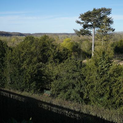 Pour avoir sa place au soleil