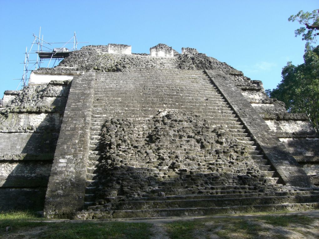 Ruines de Tikal