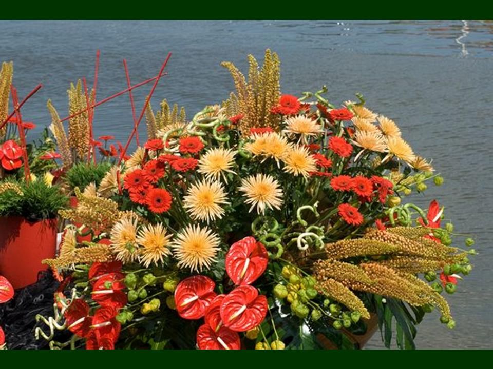 Hollande - seconde partie des marchés flottant