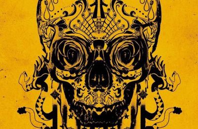 SICARIO un Grand Souvenir de Cannes 2015 bientôt dans #CinemaTikSansToc Prochainement,votre nouveau rendez-vous cinéma sur www.radiomercure.com