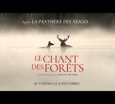 "Le chant des forets" de Vincent Munier