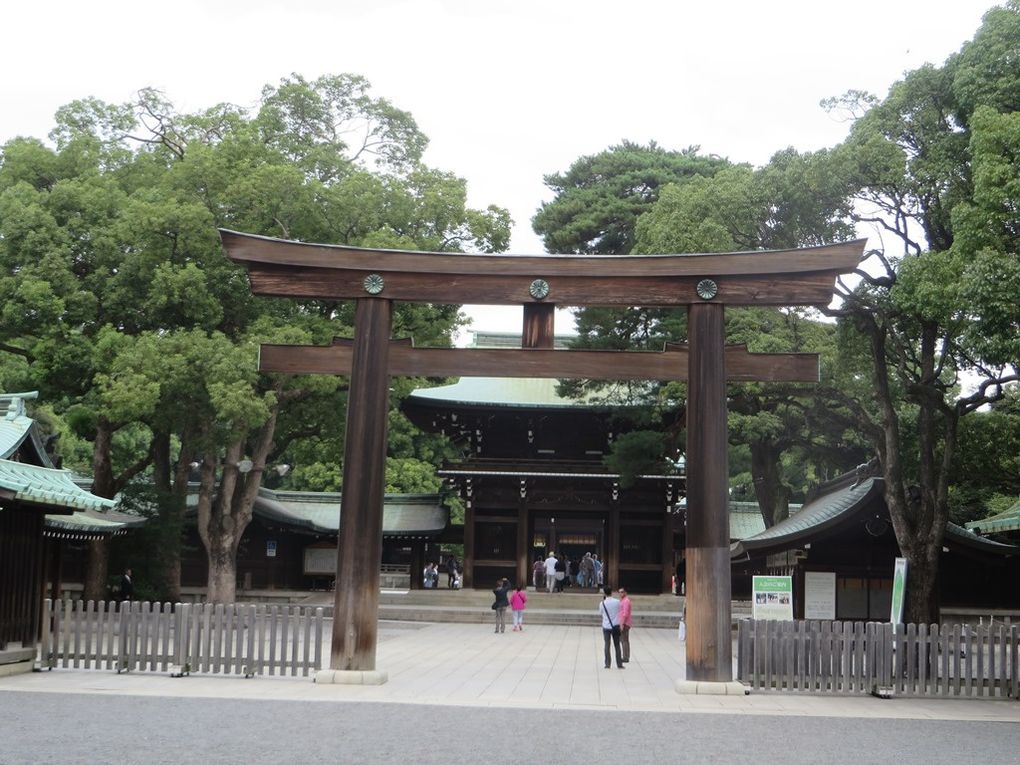 Dans le grand parc Yoyogi : le temple Meiji-Jingu. Calme et sobriété