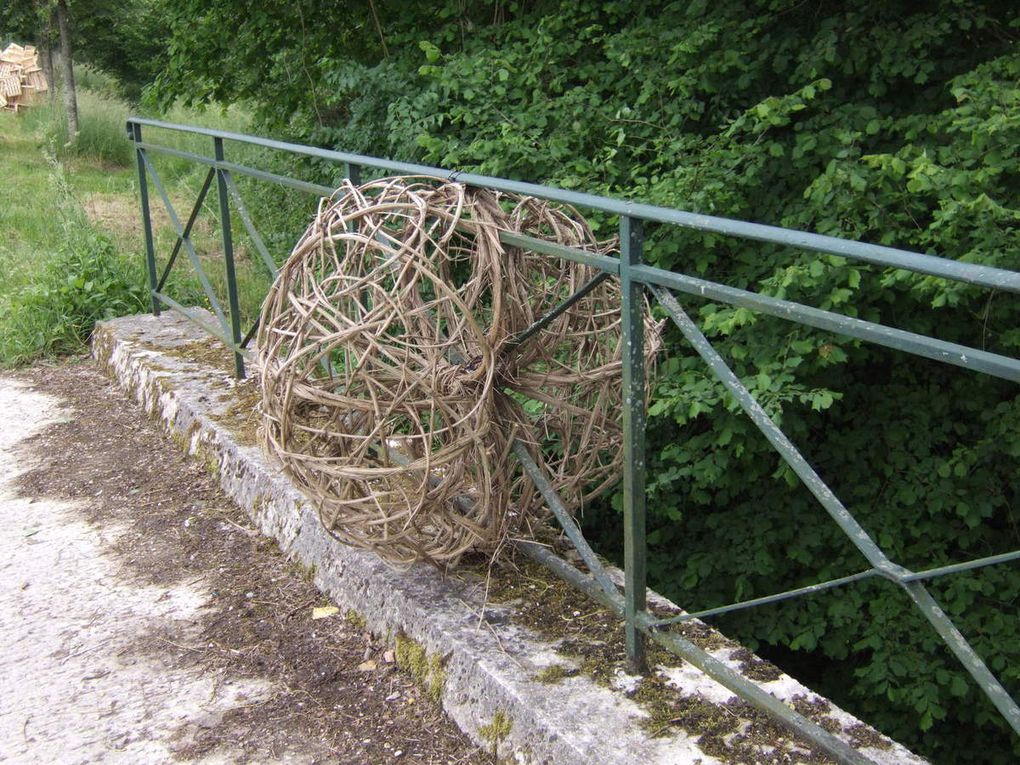 LAND ART : nid de castor