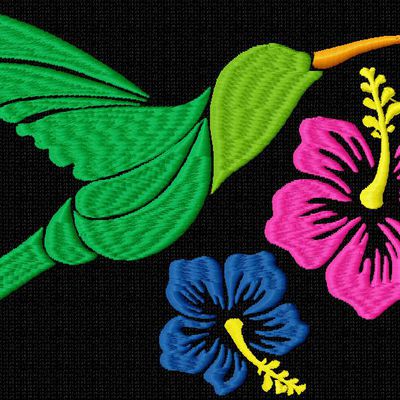 colibri fleurs