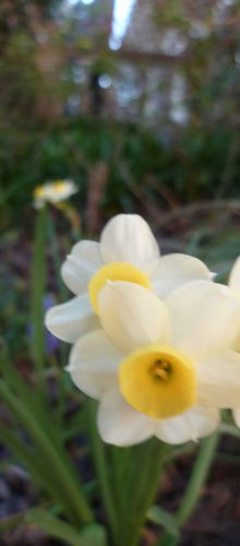 Floraison : maintenant, c'est parti !