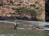 Tolède : sur les rives du Rio Tajo