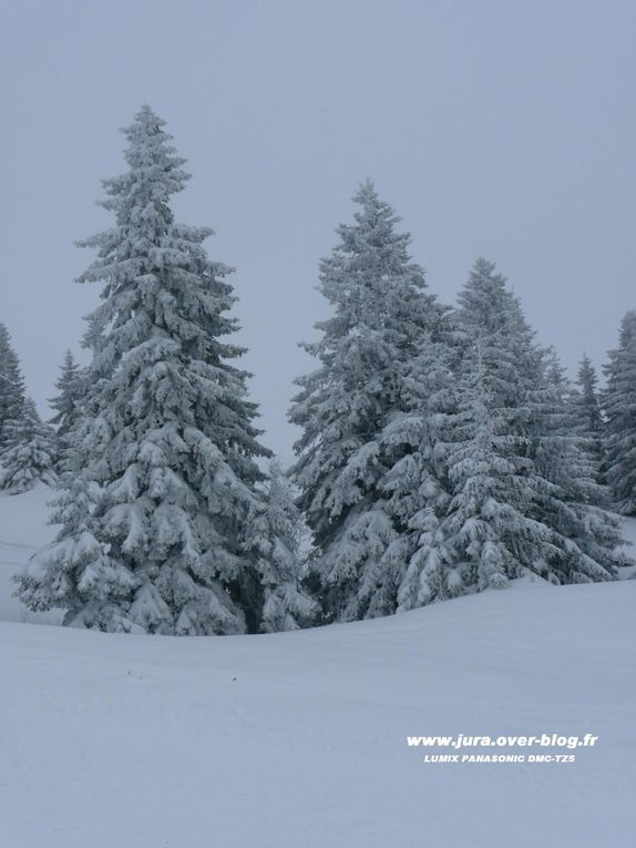 Photos de l'hiver 2009 à travers principalement de points de vues des pistes de ski alpin !