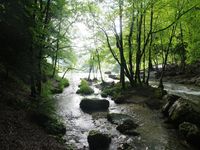 Les cascades du Hérisson dans le Jura ***