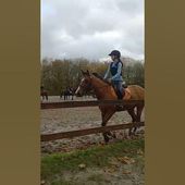 cheval galop cours Vincennes