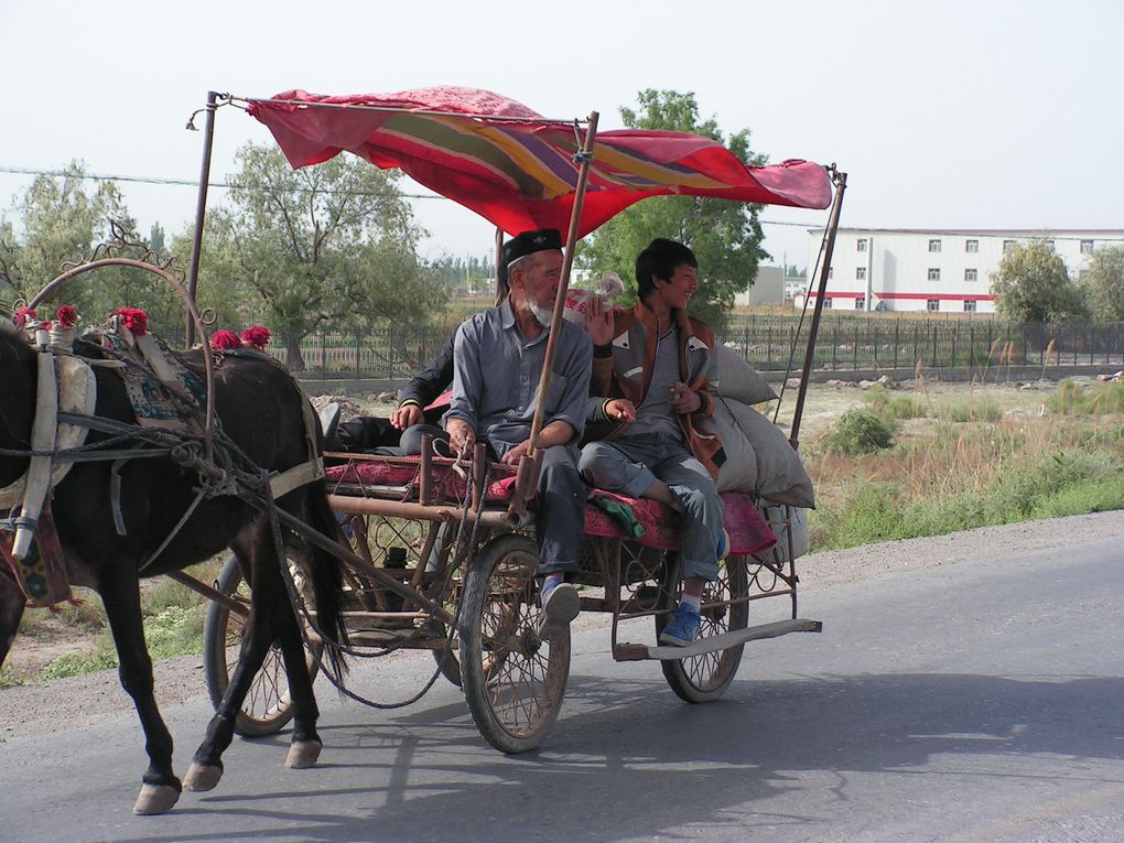 Album - xinjiang-du-14-au-31-mai