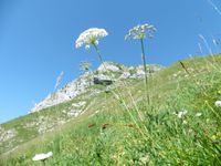 Le sentier contourne la Pointe de Chauriande et s'élève en passant sous les crêtes.