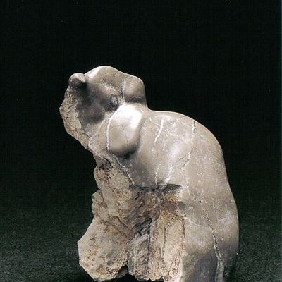 BELLE GÉANTE -Trésor de garrigue © -615/1001