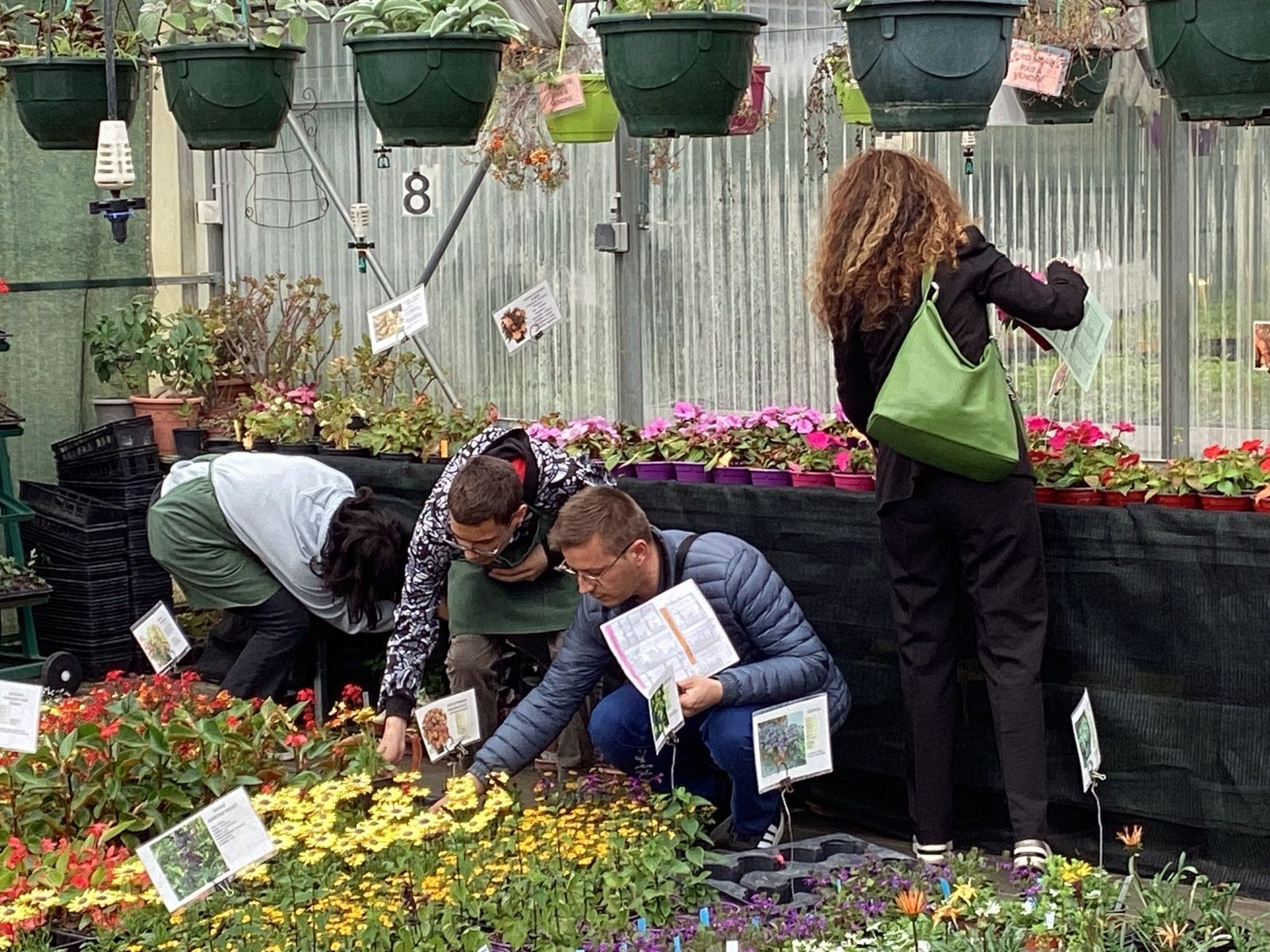 Vente de plantes 