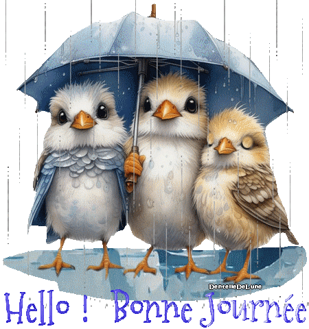 hello - Bonne journée - petits oiseaux sous la pluie - gif ...