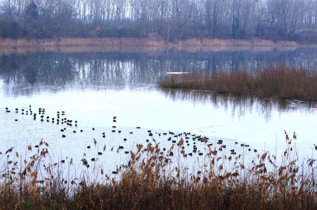 Quelques images de la journée