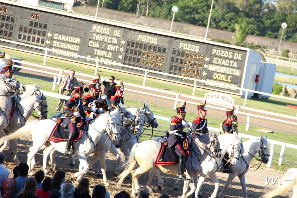 Album - hipodromo-de-Palermo