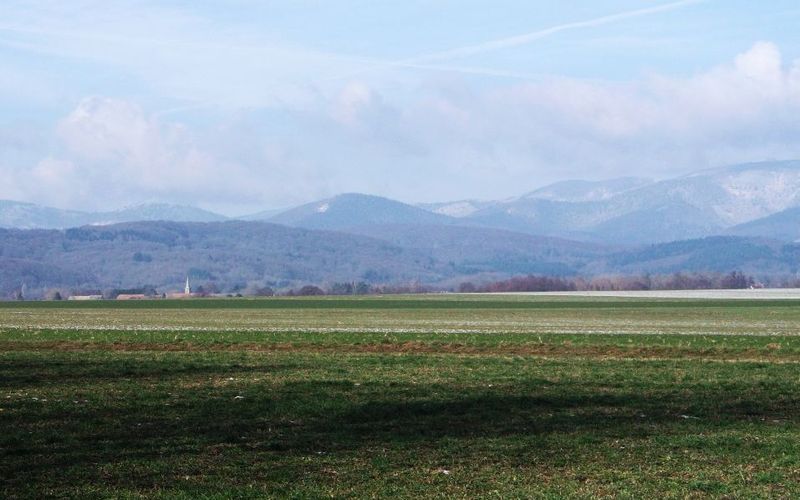 BETHONVILLIERS : LA FORÊT EST AUSSI BELLE EN HIVER ! (R 209)