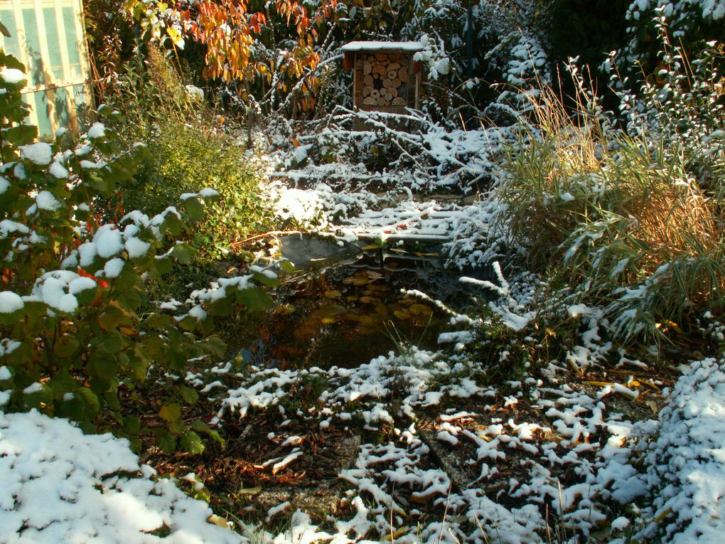 Album - Garten