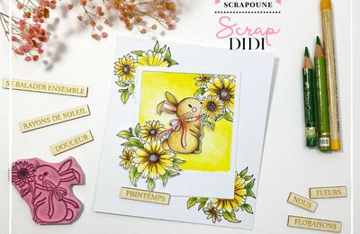 Le printemps - DT Scrap Didi