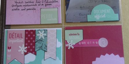 Project Life 2015: Semaine 3 et 4.