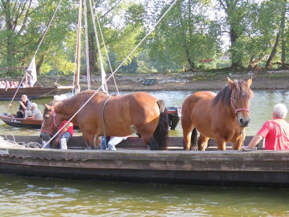 Les bateaux de Loire au travail.