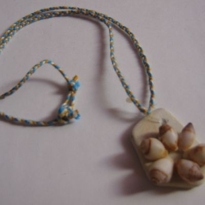 Collier Coquillages