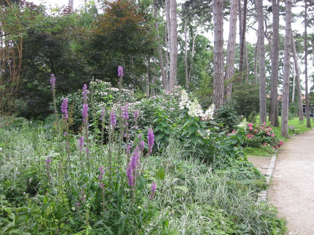 Un endroit comme je les aime : la nature dans toutes sa beauté.. les plantes, les arbres et l'eau ! que du bonheur.. août 2010 à Paris