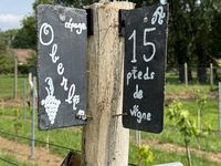 Une série d'ardoises à la fois décoratives et explicatives abordent le volet pédagogique du projet.