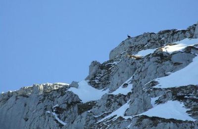 Gerbier, couloir W, 10 février 2008