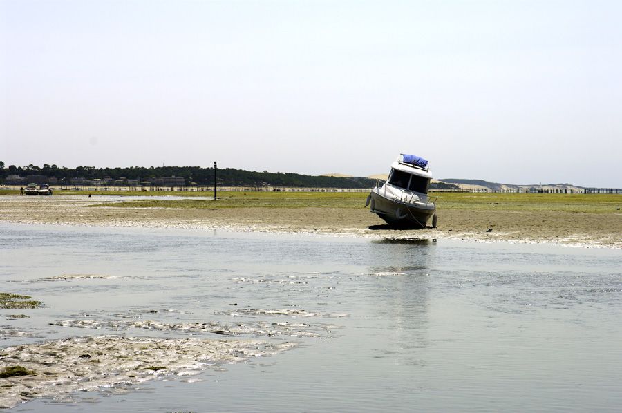 Album - ile-aux-oiseaux