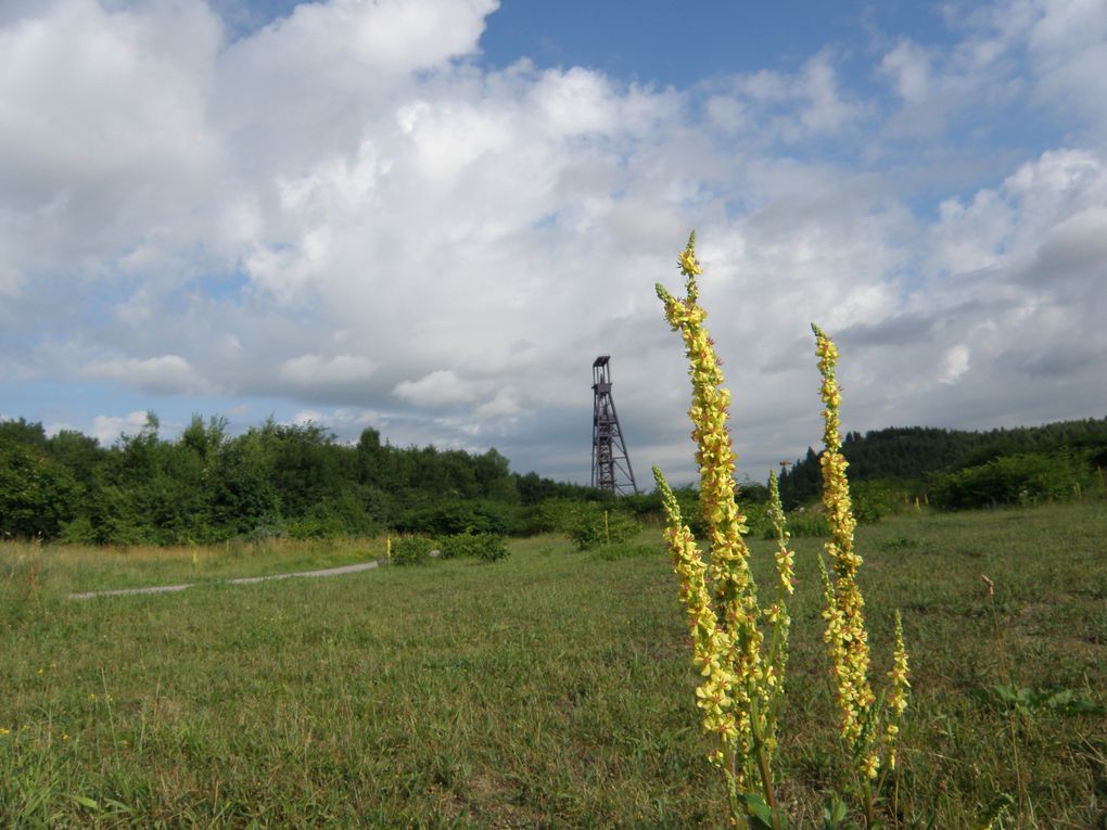 mers du nord ecluses etangs paysages