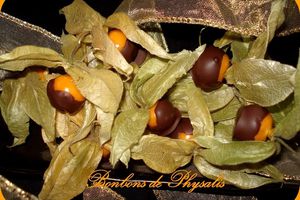 Bonbons de Physalis