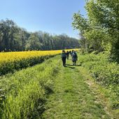 Randonnée de Lizy-sur-Ourcq à La Ferté-sous-Jouarre. 17 Km - Carnets de r@ndos et de voy@ges...