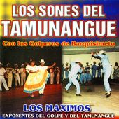 Los Sones del Tamunangue