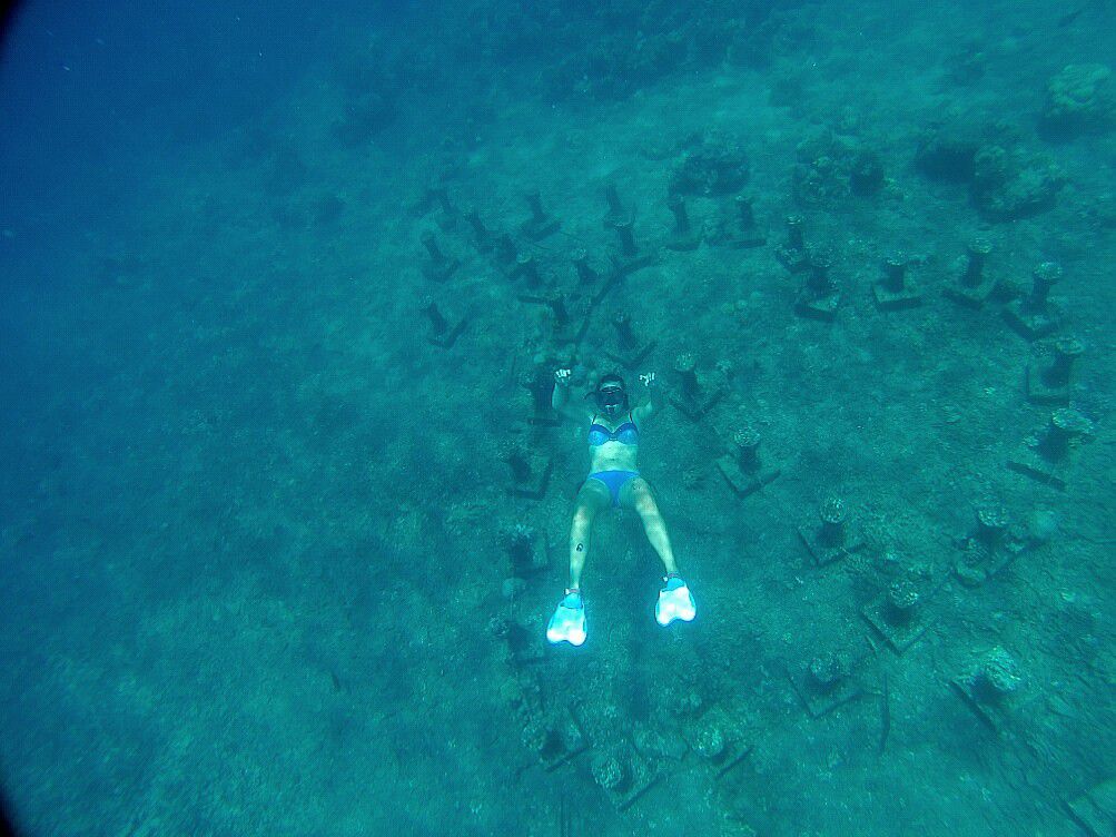 Le lendemain de notre arrivée, nous enfourchons notre bolide et partons sur la plage de Jemeluk. Sur la droite de la plage, à 100m du bord se trouve un temple sous l'eau. Enfin ce que les balinais appellent un "temple", je le décrirais plutôt comme un petit autel. Il n'est qu'à quelques mètres de profondeur, on peut donc aisément l'admirer en snorkeling et plonger dessus pour le voir de près. Les fonds ne sont pas trop ravagés, bien que déjà trop selon moi, contrairement à d'autres endroits autour de Bali. Sans vraiment comprendre le pourquoi du comment ils ont fait ça là, on peut aussi apercevoir, non loin du temple, un cœur avec une flèche représenté au fond de l'eau. Cupidon roderait-il avec son arc dans le coin ? C'est peut-être pour cela qu'on tombe facilement sous le charme d'Amed et des balinais qui y vivent !