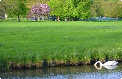 Parc du château, suite de ma balade ... 