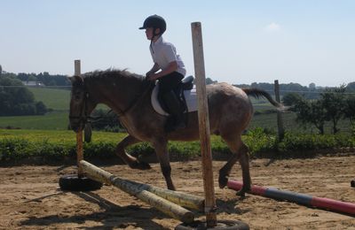 Concours de saut d'obstacles