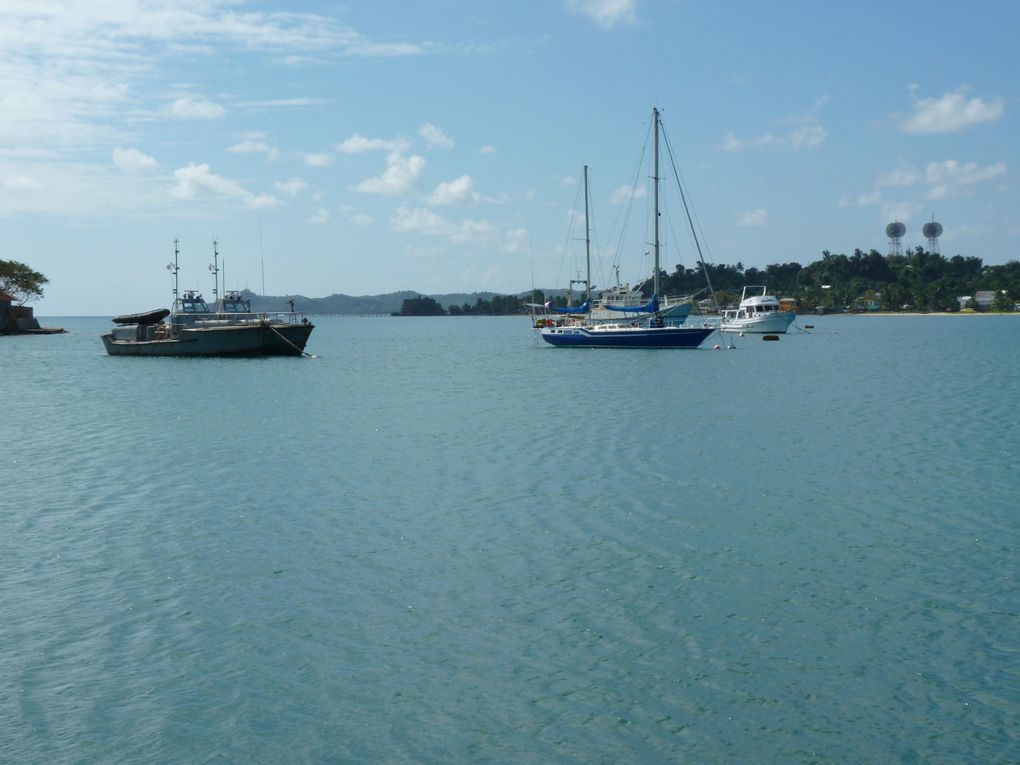 L'île de Sainte-Marie, ses baleines, ses histoires de Pirates, ses cocotiers...