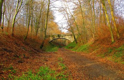 Ponts ancienne voie ferrée Rethondes-Troësnes_géolocalisation