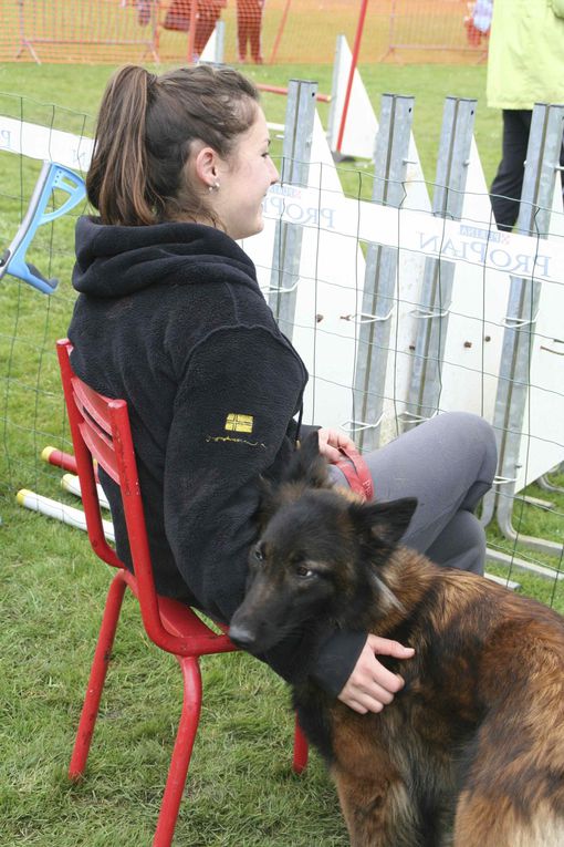 Album - 12-Concours-Agility-La-Martyre-10-03-2013-2