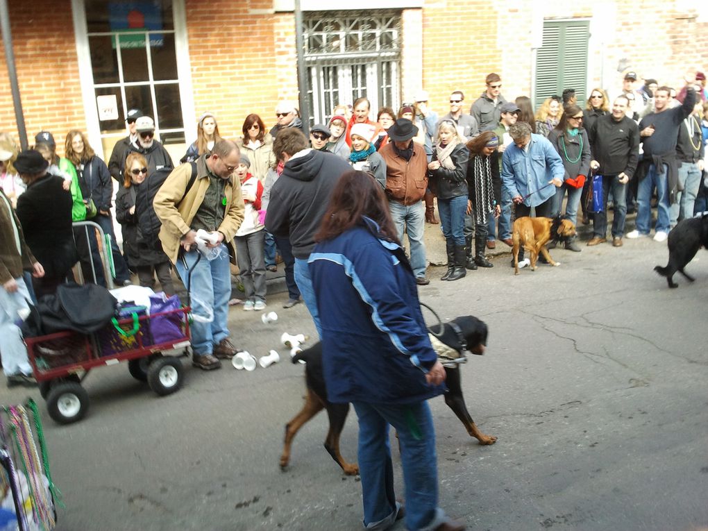 Première parade de notre premier carnaval.