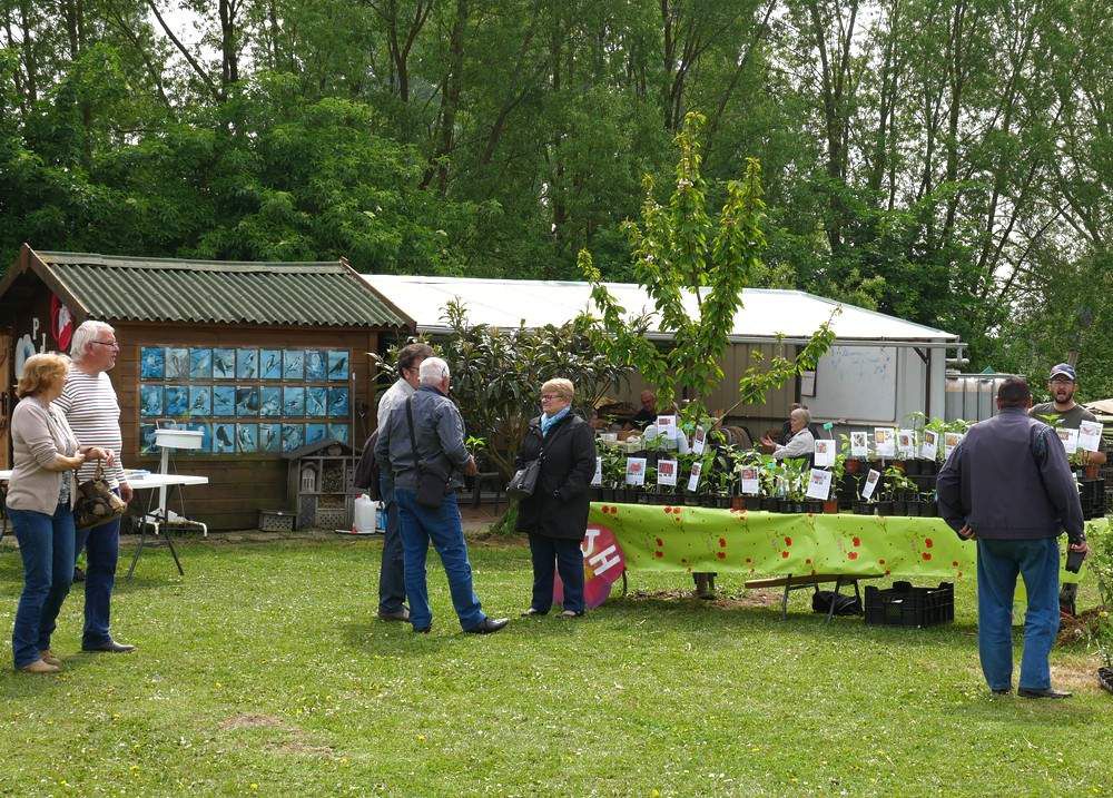 Troc de plantes 2019 réussi