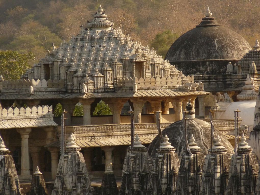 Album - RANAKPUR