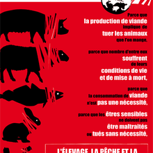 Marche pour la fermeture des abattoirs à Castres le 2 juin